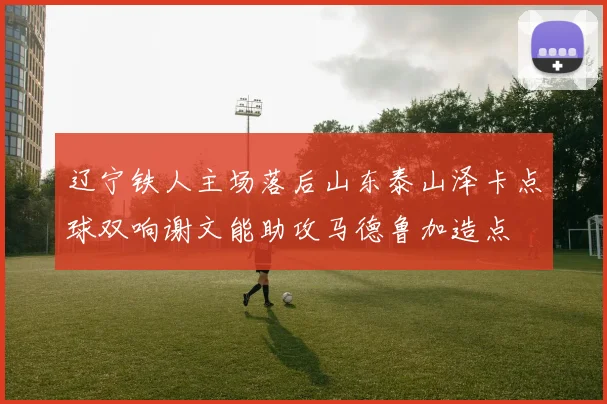 辽宁铁人主场落后山东泰山泽卡点球双响谢文能助攻马德鲁加造点