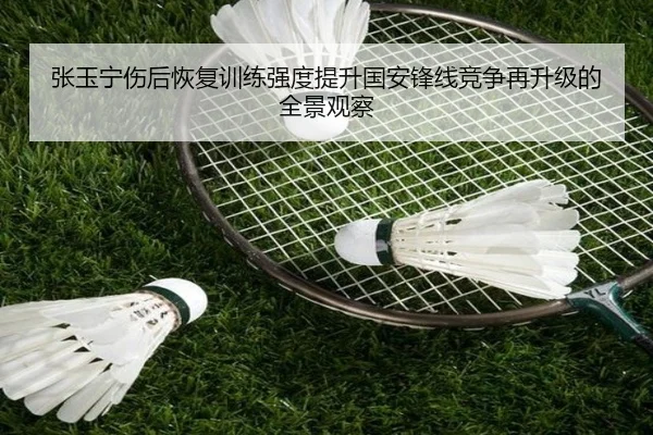 张玉宁伤后恢复训练强度提升国安锋线竞争再升级的全景观察